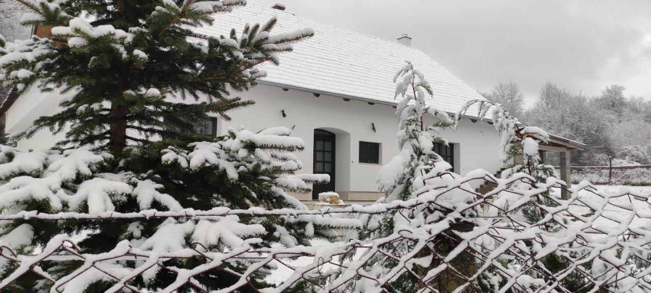 Gerecse Vendeghaz Hotel Sutto Екстериор снимка